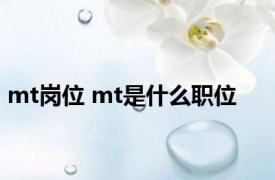 mt岗位 mt是什么职位 