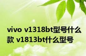 vivo v1318bt型号什么款 v1813bt什么型号