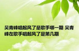 吴青峰唱起风了是歌手哪一期 吴青峰在歌手唱起风了是第几期