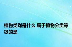 植物类别是什么 属于植物分类等级的是 