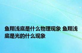 鱼翔浅底是什么物理现象 鱼翔浅底是光的什么现象