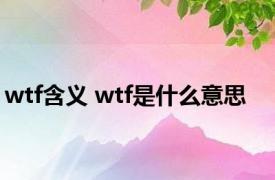 wtf含义 wtf是什么意思