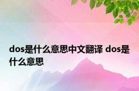 dos是什么意思中文翻译 dos是什么意思 