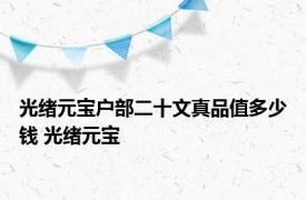 光绪元宝户部二十文真品值多少钱 光绪元宝 