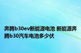 奔腾b30ev新能源电池 新能源奔腾b30汽车电池多少伏