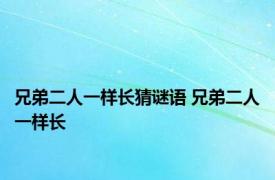 兄弟二人一样长猜谜语 兄弟二人一样长 