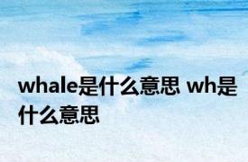 whale是什么意思 wh是什么意思 