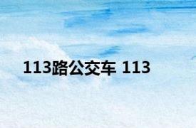 113路公交车 113 