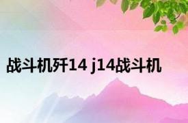 战斗机歼14 j14战斗机 