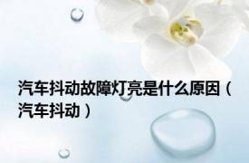 汽车抖动故障灯亮是什么原因（汽车抖动）