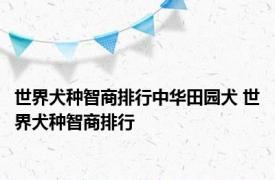 世界犬种智商排行中华田园犬 世界犬种智商排行 