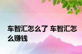 车智汇怎么了 车智汇怎么赚钱 