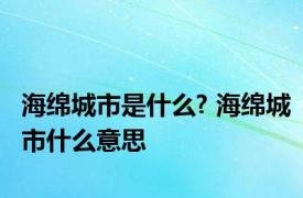 海绵城市是什么? 海绵城市什么意思