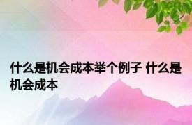 什么是机会成本举个例子 什么是机会成本 