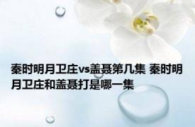 秦时明月卫庄vs盖聂第几集 秦时明月卫庄和盖聂打是哪一集 