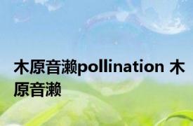 木原音濑pollination 木原音濑 