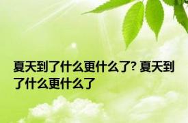 夏天到了什么更什么了? 夏天到了什么更什么了 