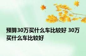 预算30万买什么车比较好 30万买什么车比较好 