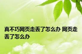 真不巧网页走丢了怎么办 网页走丢了怎么办 