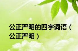 公正严明的四字词语（公正严明）