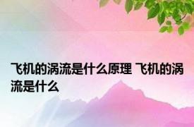 飞机的涡流是什么原理 飞机的涡流是什么