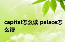 capital怎么读 palace怎么读 