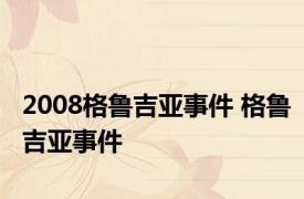 2008格鲁吉亚事件 格鲁吉亚事件 