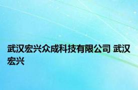 武汉宏兴众成科技有限公司 武汉宏兴 