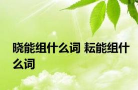 晓能组什么词 耘能组什么词