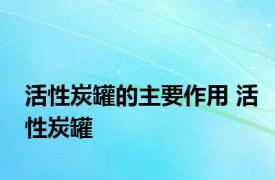 活性炭罐的主要作用 活性炭罐 