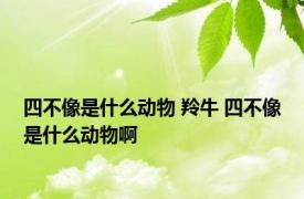 四不像是什么动物 羚牛 四不像是什么动物啊