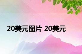 20美元图片 20美元 