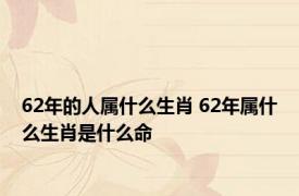 62年的人属什么生肖 62年属什么生肖是什么命