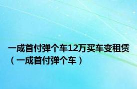 一成首付弹个车12万买车变租赁（一成首付弹个车）