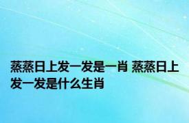 蒸蒸日上发一发是一肖 蒸蒸日上发一发是什么生肖