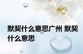 默契什么意思广州 默契什么意思