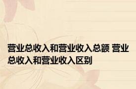 营业总收入和营业收入总额 营业总收入和营业收入区别