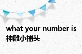 what your number is 神雕小捕头 