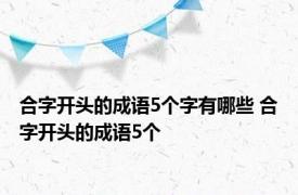 合字开头的成语5个字有哪些 合字开头的成语5个