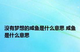 没有梦想的咸鱼是什么意思 咸鱼是什么意思