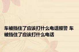 车被挡住了应该打什么电话报警 车被挡住了应该打什么电话