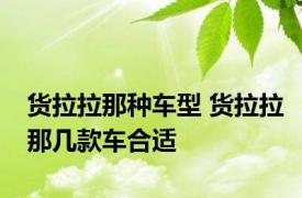 货拉拉那种车型 货拉拉那几款车合适