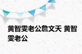 黄智雯老公詹文天 黄智雯老公 