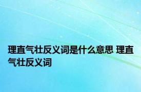 理直气壮反义词是什么意思 理直气壮反义词 