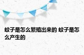 蚊子是怎么繁殖出来的 蚊子是怎么产生的 