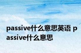 passive什么意思英语 passive什么意思 