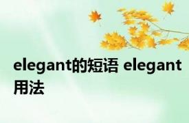 elegant的短语 elegant用法