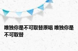 唯独你是不可取替原唱 唯独你是不可取替 