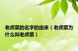 老虎菜的名字的由来（老虎菜为什么叫老虎菜）