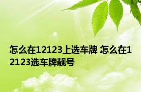 怎么在12123上选车牌 怎么在12123选车牌靓号